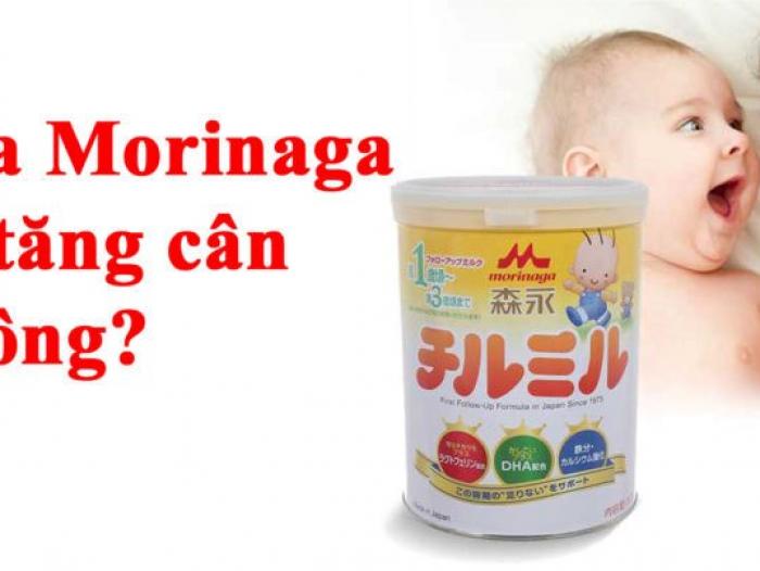 Sữa Morinaga có tăng cân không?