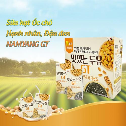 Sữa hạt óc chó, hạnh nhân, đậu đen Namyang GT